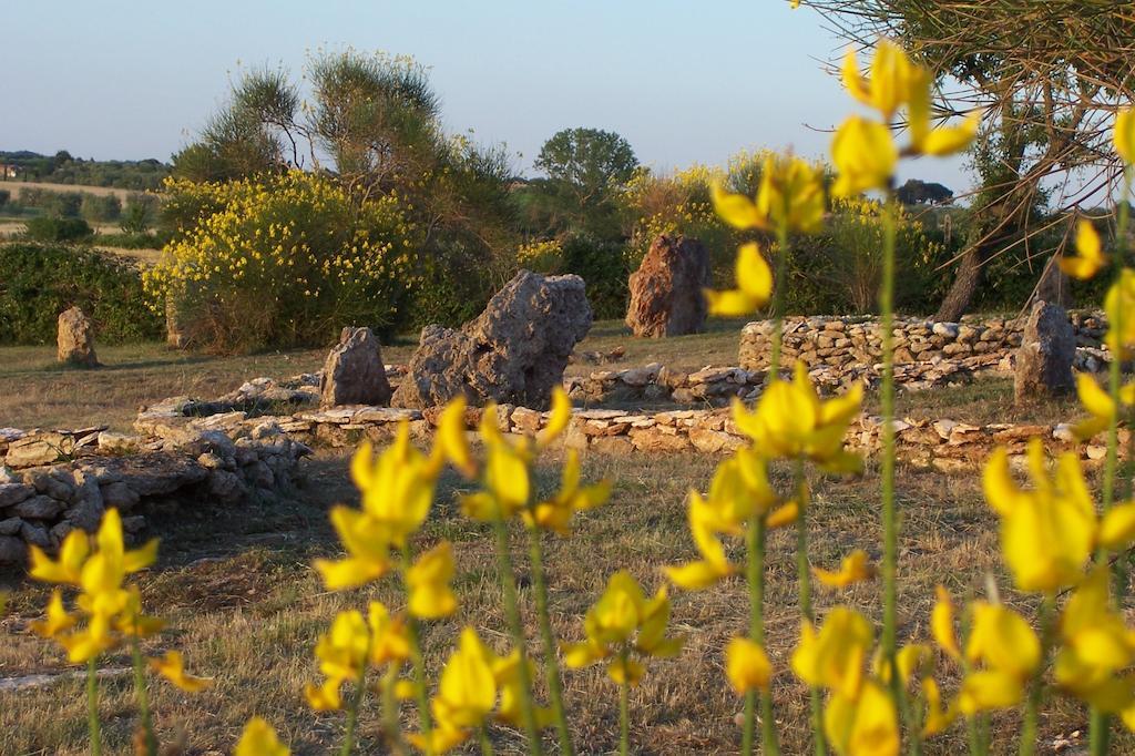 Agriturismo Il Grillo Parlante Пітільяно Екстер'єр фото