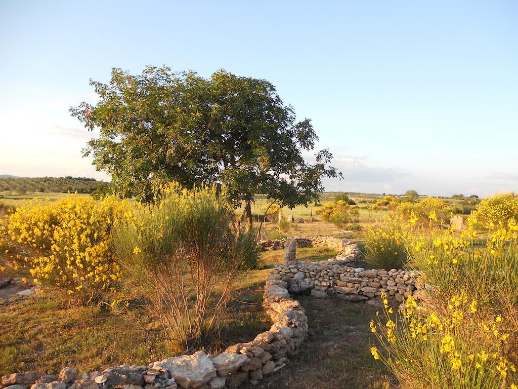 Agriturismo Il Grillo Parlante Пітільяно Екстер'єр фото